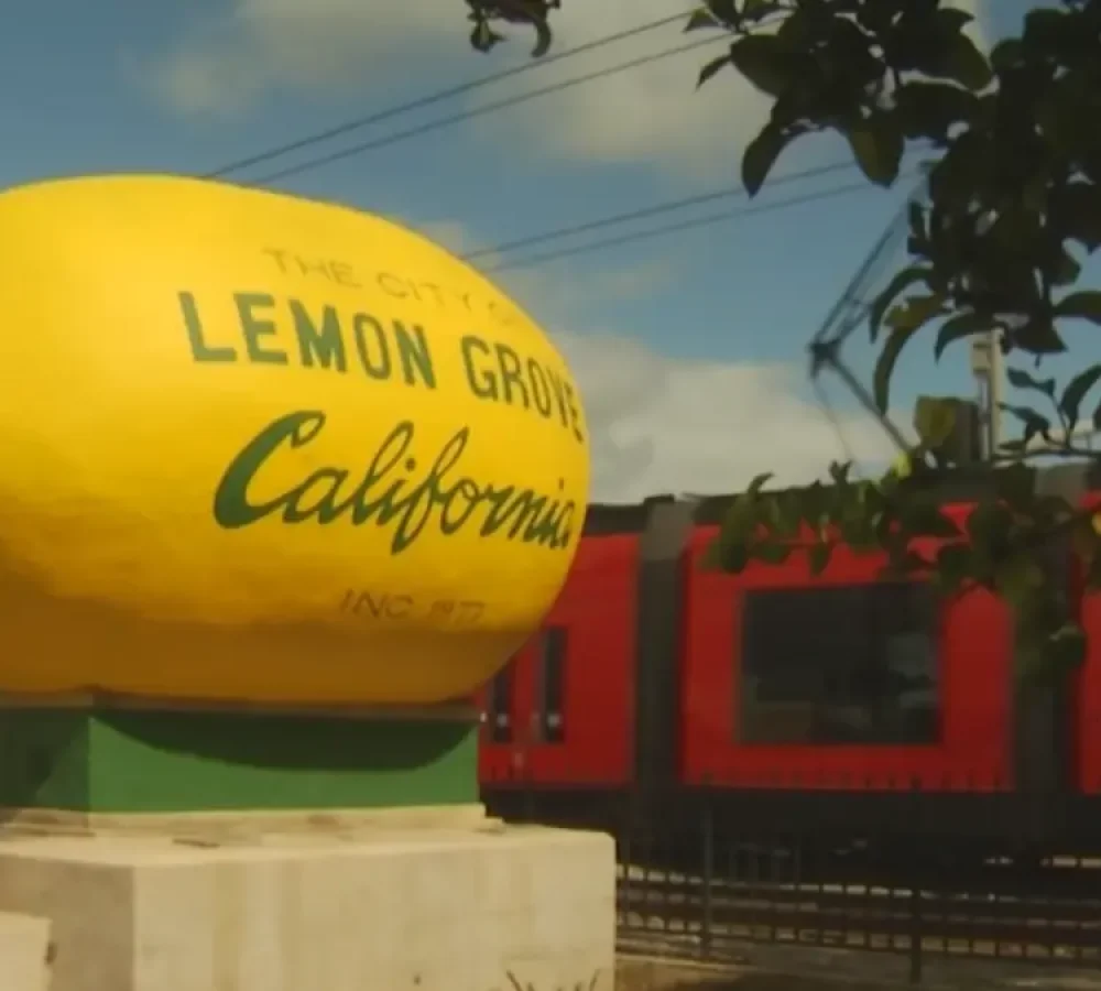 Lemon Grove City CA