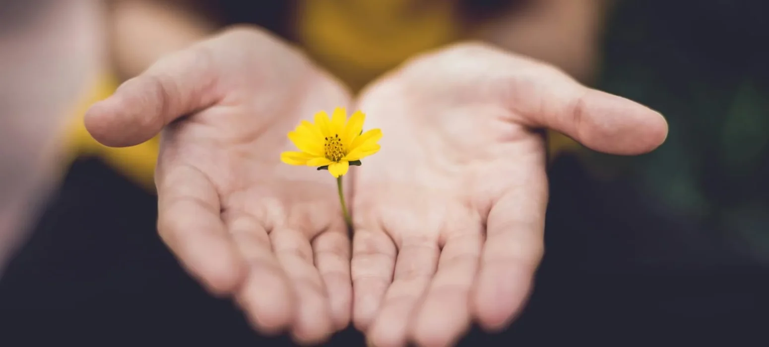 flower in hand