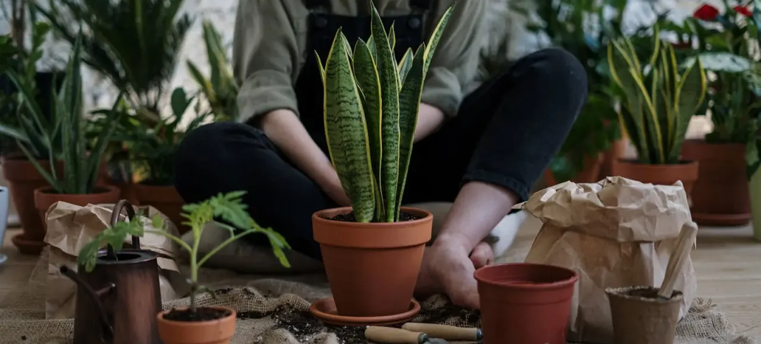 selfcare through gardening